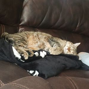 Meet your Posher, Alana